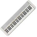 teclado casio ct s1we