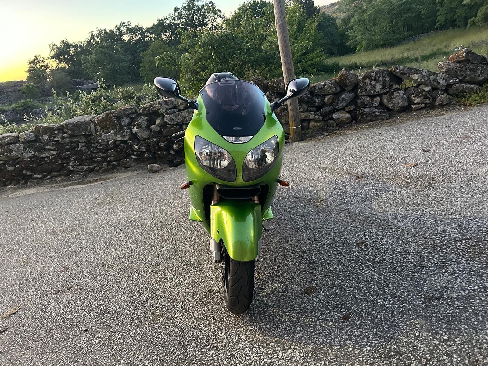 Kawasaki Ninja ZX-12R