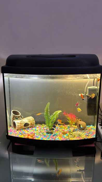 Аквариум с рыбками