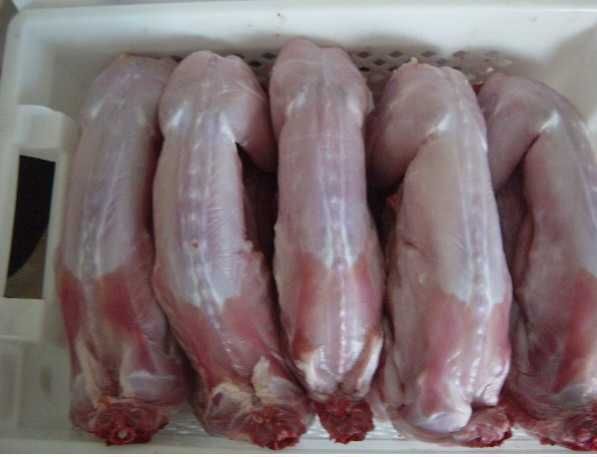 Тушки кроликів продам