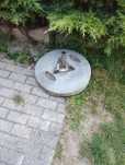 Betonowy stojak pod parasol ogrodowy