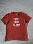 t-shirt męski mustang