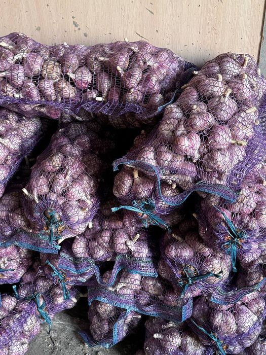 Часник. Любаша..