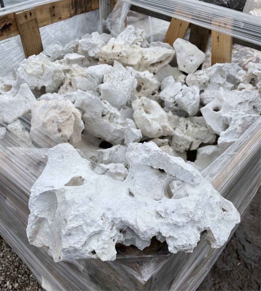 Biały WAPIEŃ FILIPIŃSKI Kamien do Akwarium Malawi Tanganika Skała Grys
