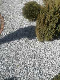 Kamień ogrodowy ozdobny dalmatyńczyk worki