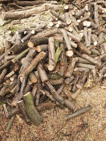 Drewno opałowe dąb liściaste gałęziówka szybka realizacja