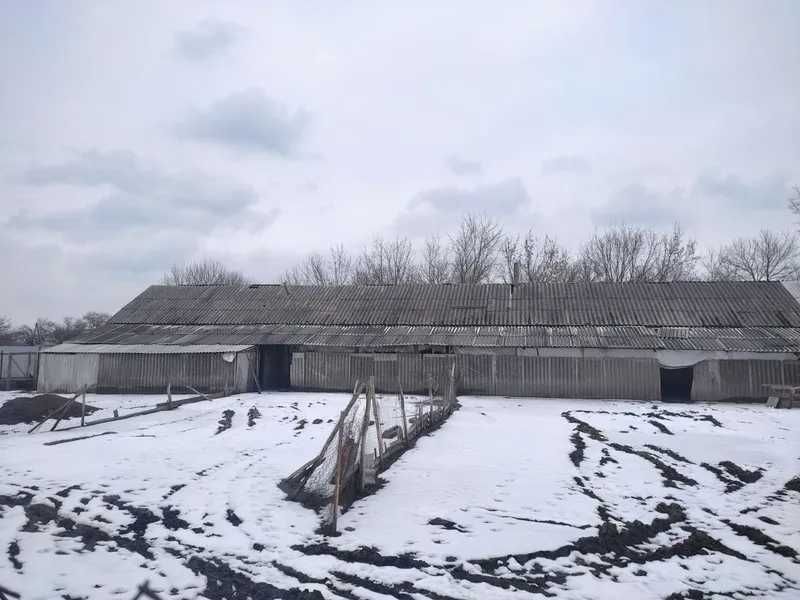 Виробничий будинок, 179,4 кв. м, с. Червоні Квіти, вул. Берегова, 21А