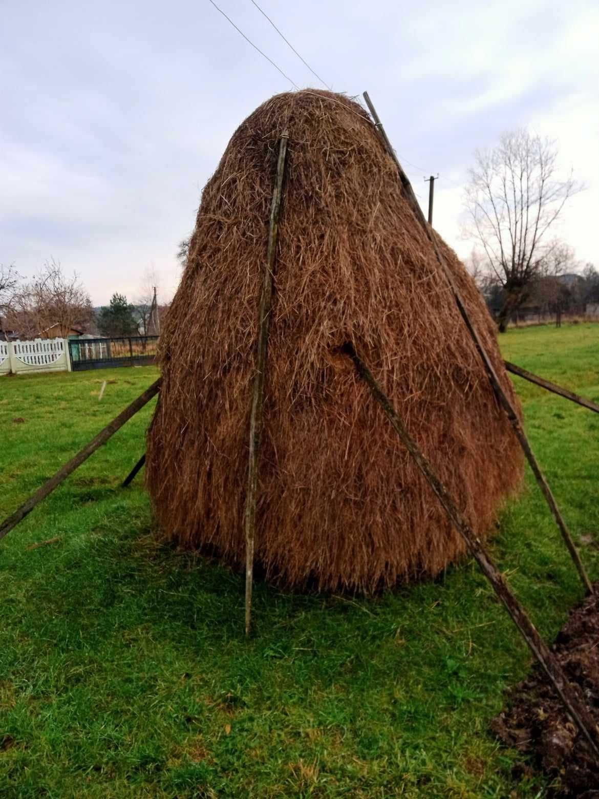 Продаю городнє сіно