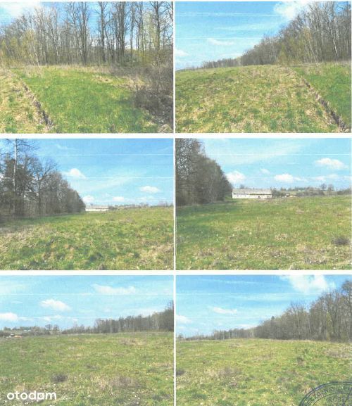 Syndyk sprzeda 1/4 udziału własności nieruchomści