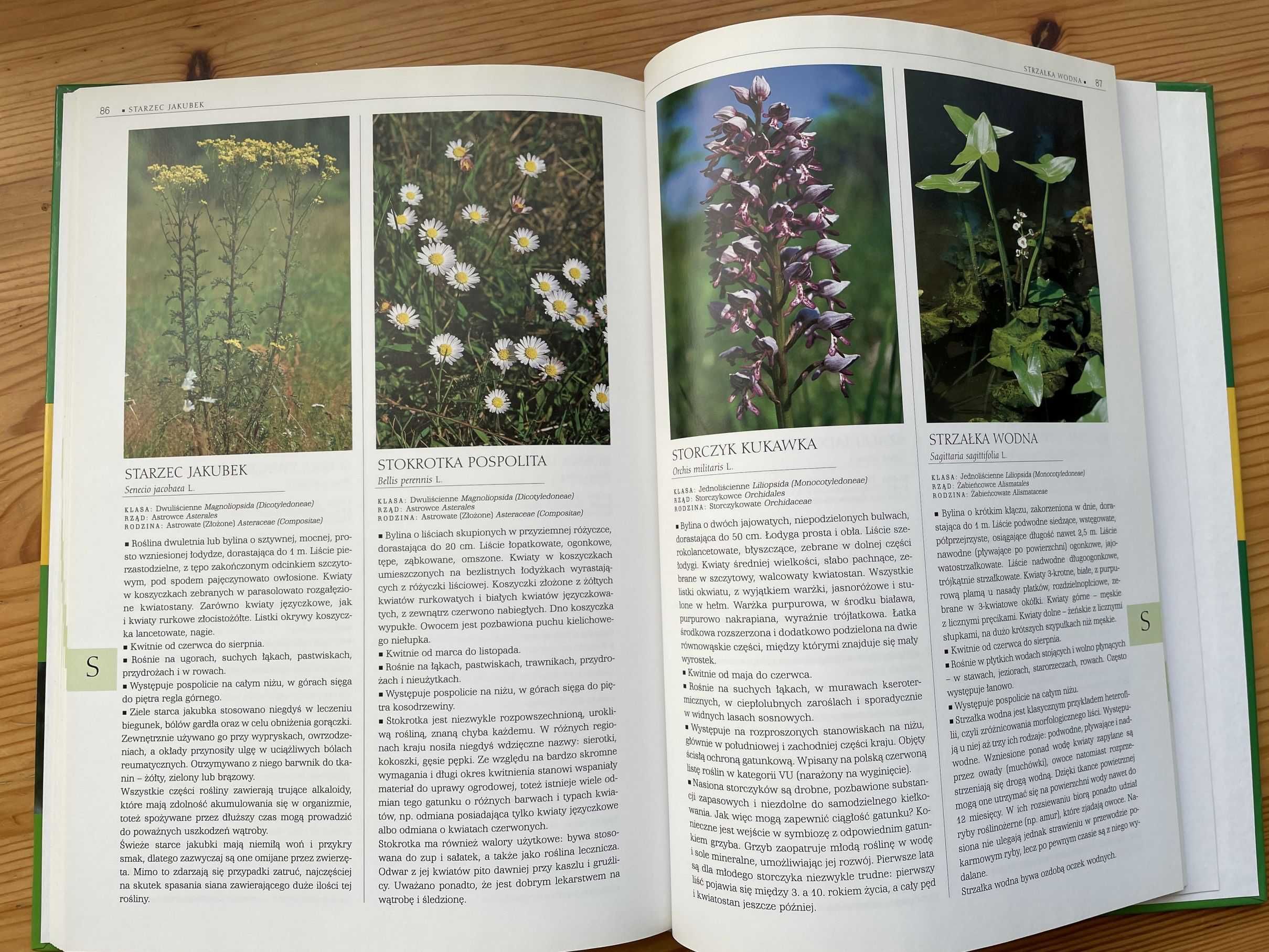 Rośliny Polski: ilustrowana encyklopedia od A do Z