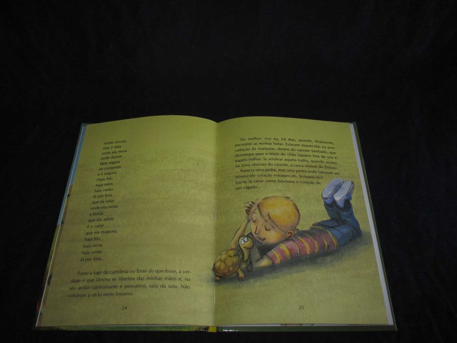 Livro O Coração das Coisas António Torrado