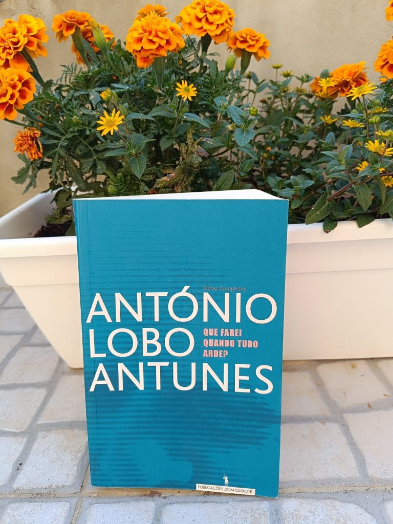 Que farei quando tudo arder? António Lobo Antunes