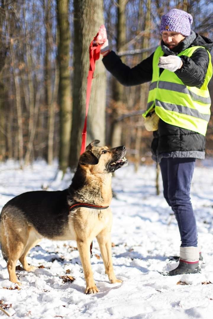 Aktywny Tobiasz szuka człowieka!