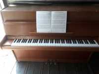 Pianino Calisia Menuet 105M z wojska 85r