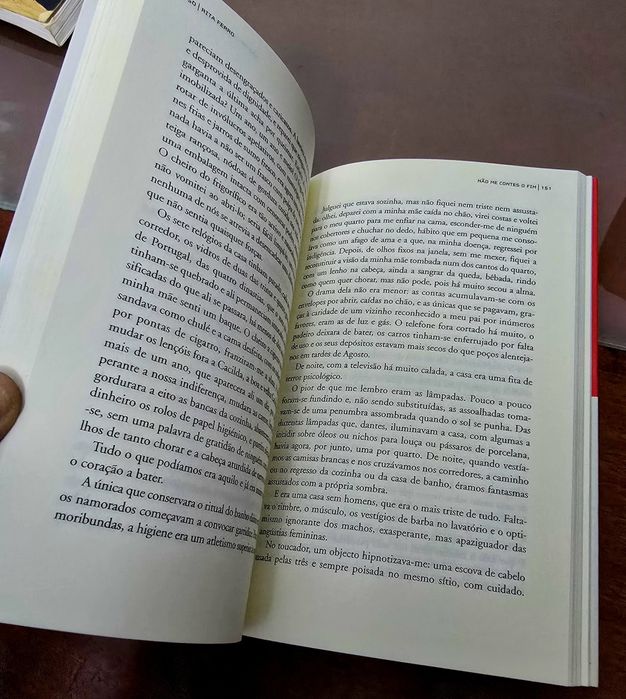 Livro “Não Contes o Fim” – Rita Ferro