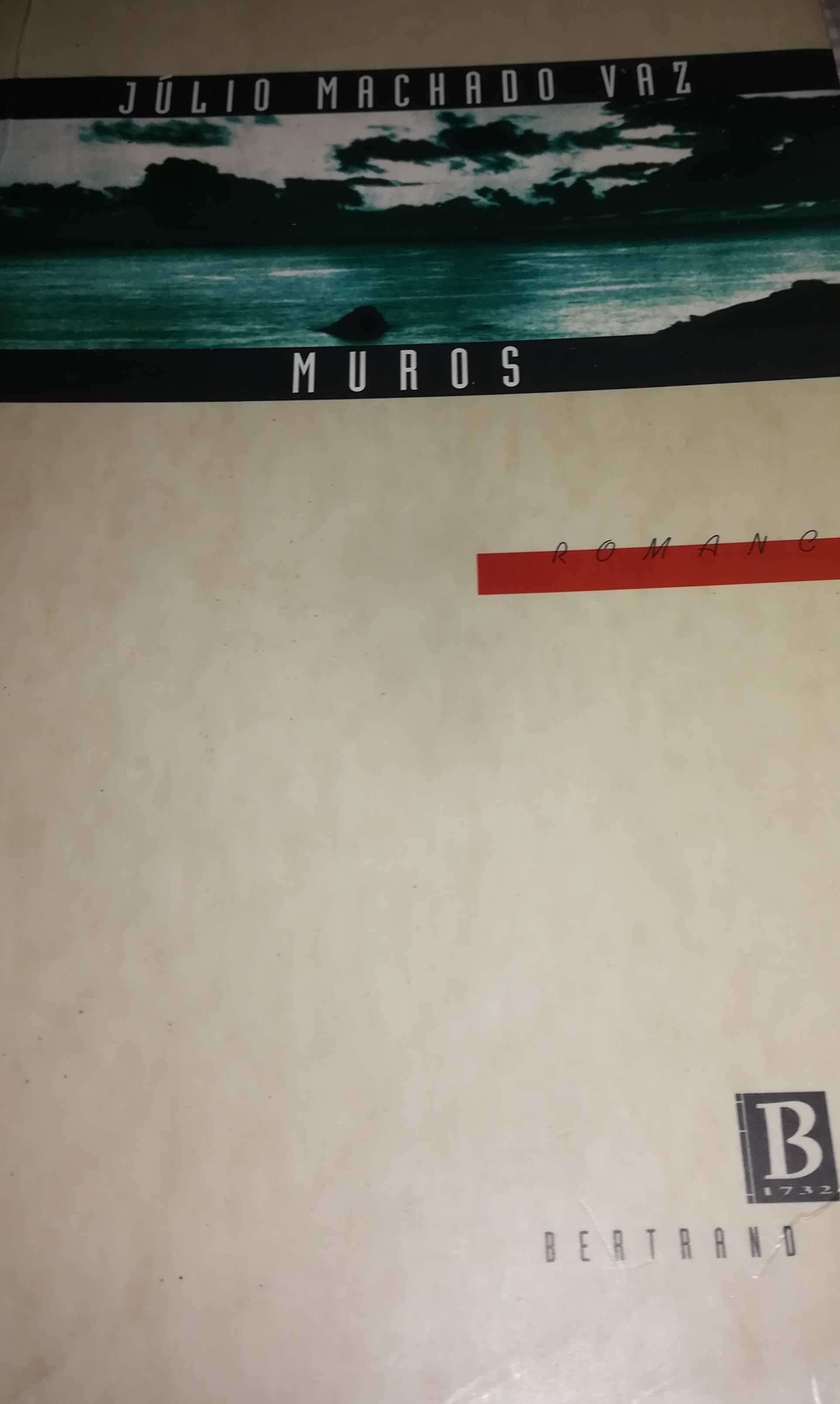 Muros - Júlio Machado Vaz