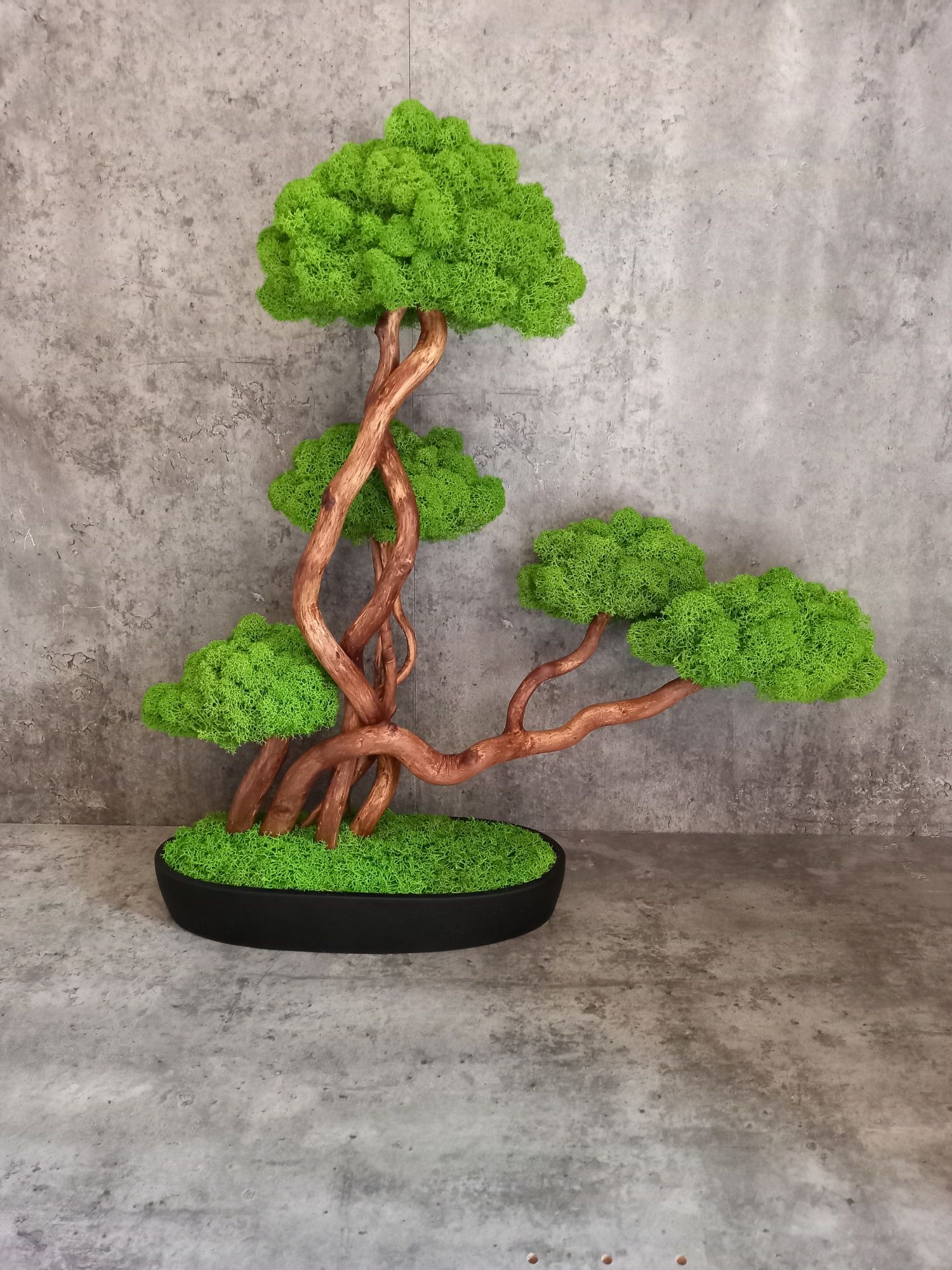 Dekoracja do domu, biura. Drzewko Bonsai. Mech  Chrobotek. Prezent.