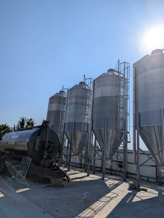 продається підприємство з розведення свиней