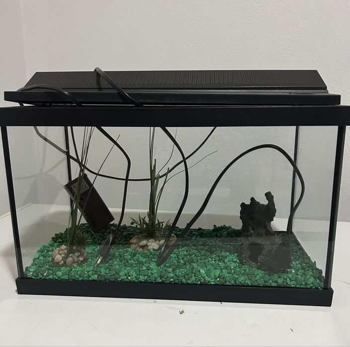 Aquario c/Decoração e Filtro