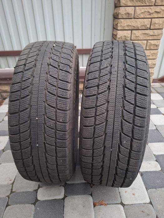 Зимня резина Trienji