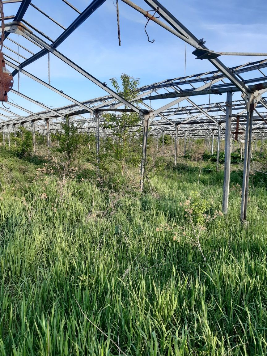 Оренда- продаж теплиці Антрацит.