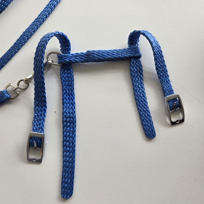 Szelki smycz dla małego szczeniaka, kota, królika szczura niebieski