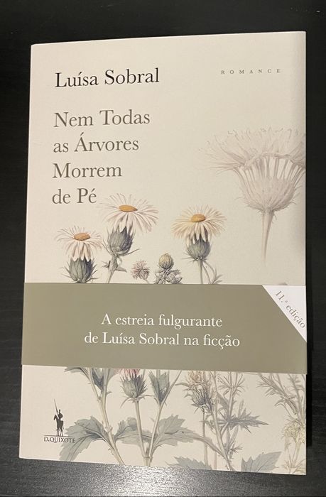 Nem fodas as arvores morrwm de pé
