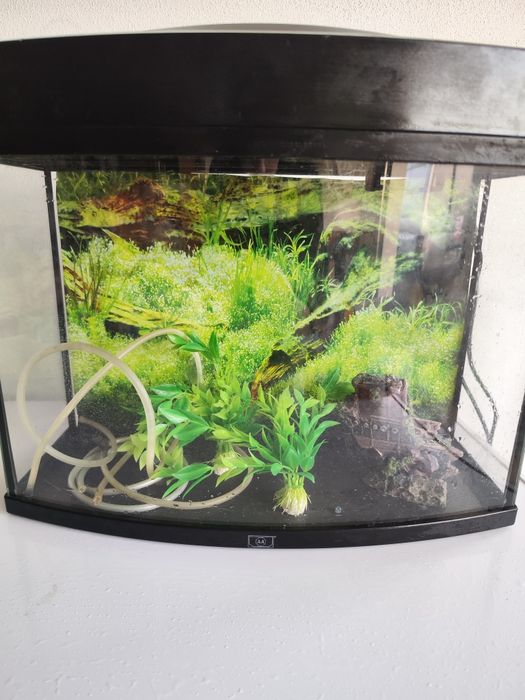 Aquário para peixes