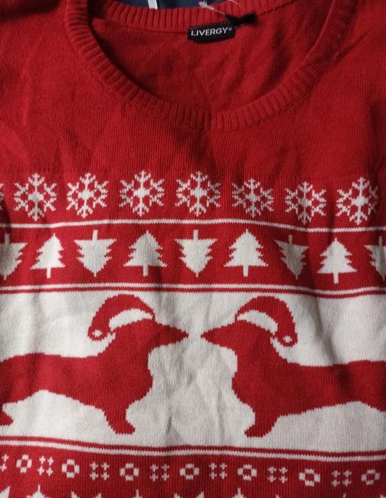 Чоловічі светри Livergy