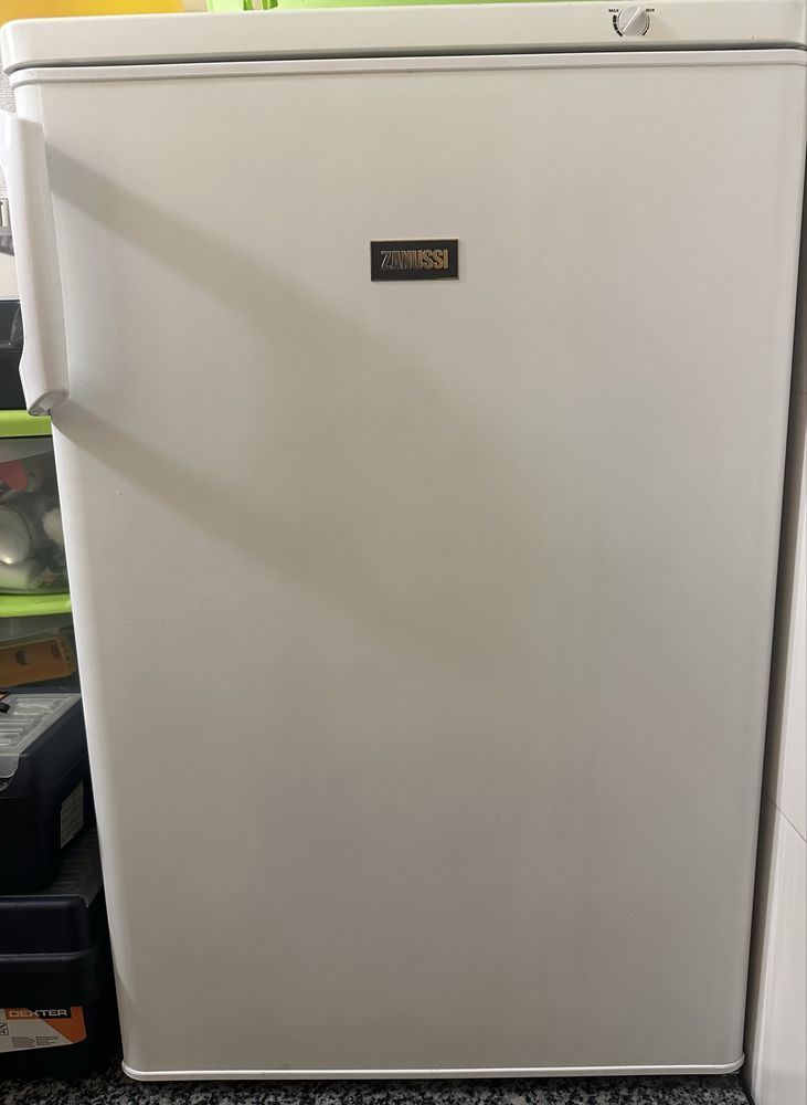 Arca congeladora vertical 110 litros Zanussi A+