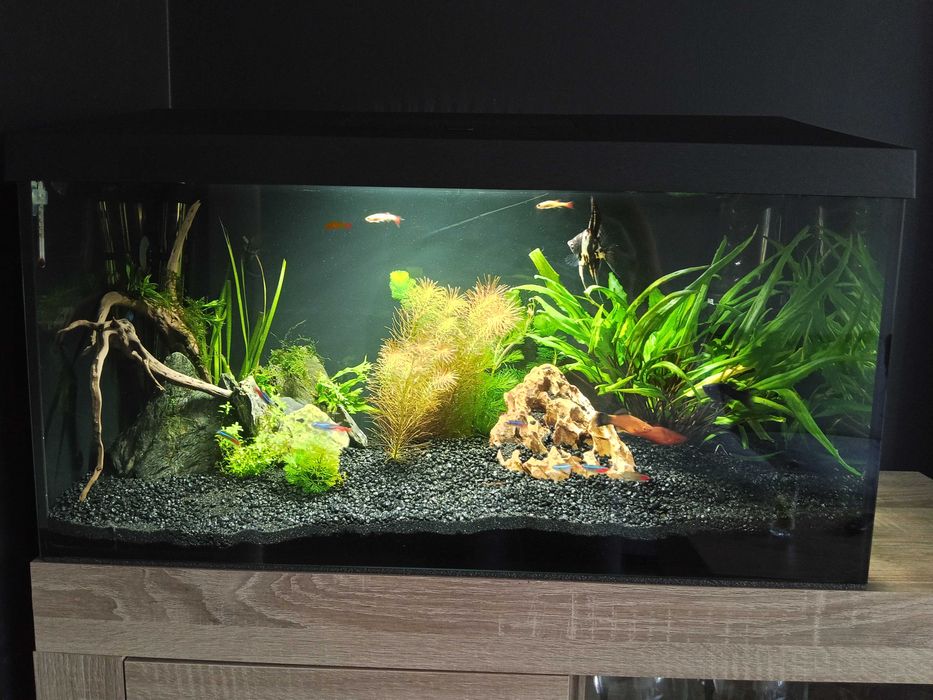 Akwarium 54 l 60 30 30