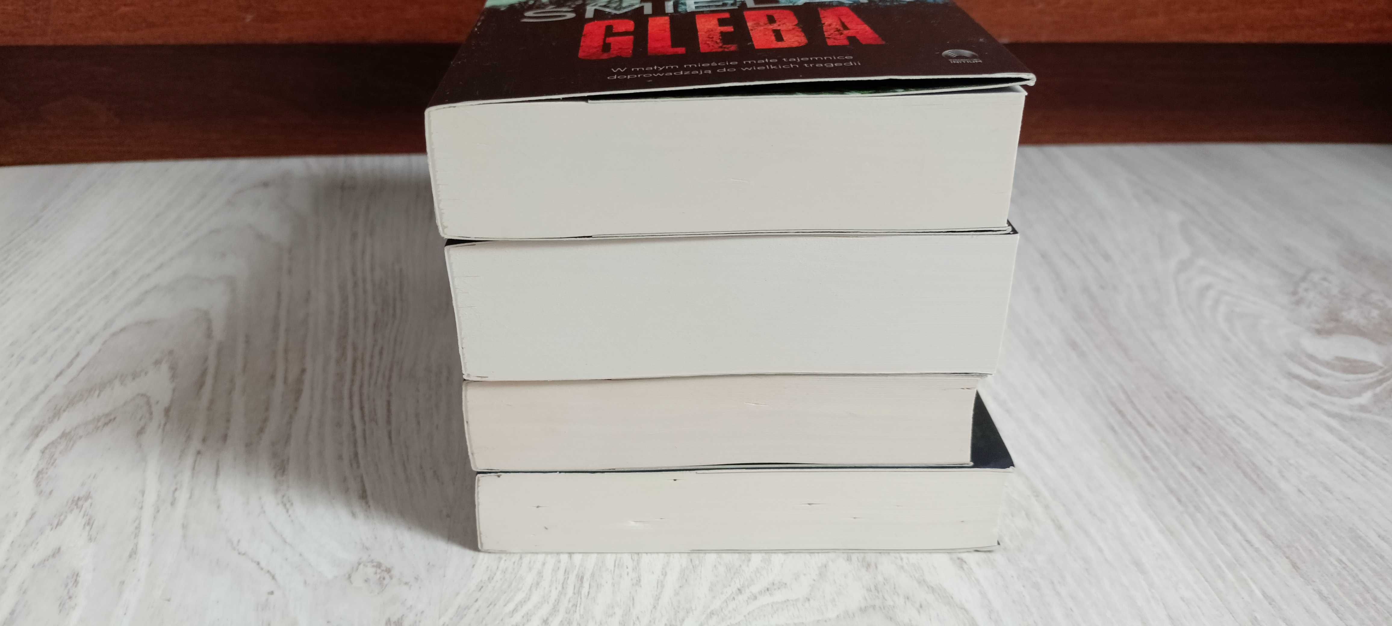 4x Michał Śmielak Bielma + Miasto burz + Gleba + Wnyki
