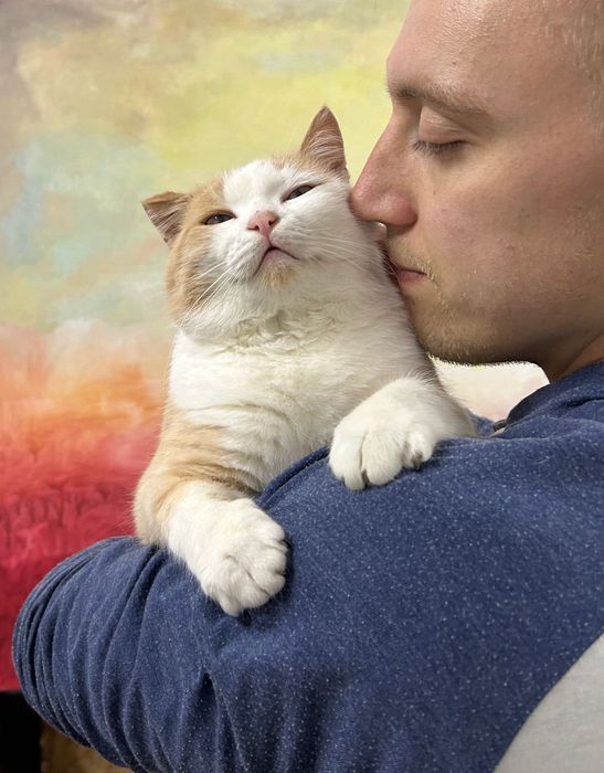 Кастрований рудий котик шукає дім. Кіт-липучка в добрі руки.