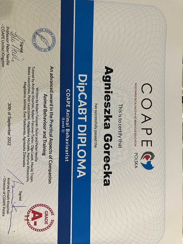 Behawiorysta zwierząt towarzyszacych COAPE, instruktor nosework