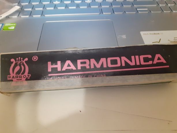 Harmonica parrot 24 buracos  C