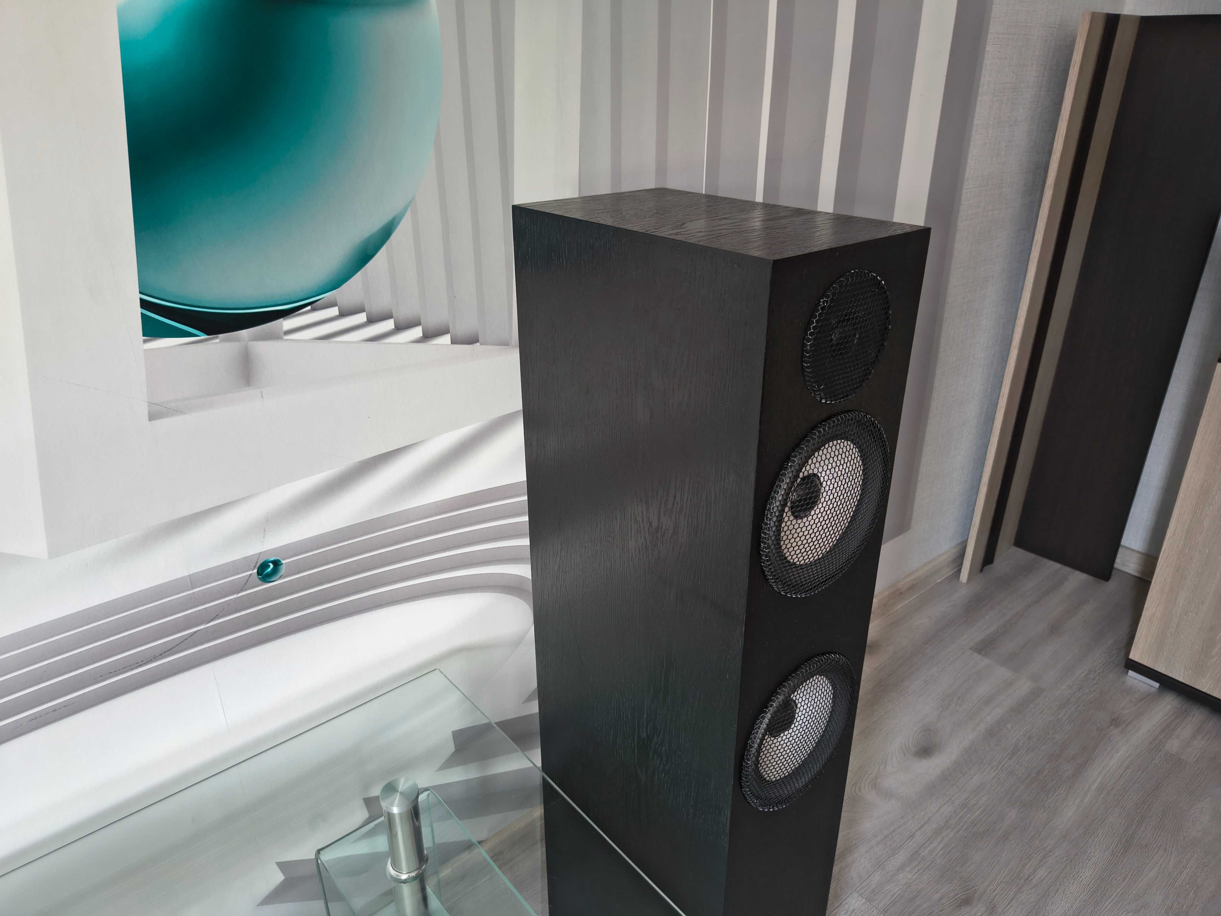 Pylon Ruby 25,Fosi audio,dac i monobloki