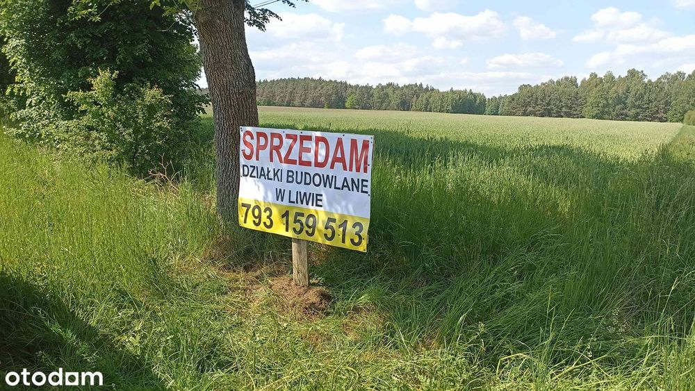 Tanie działki budowlane z warunkami zabudowy w Liwie