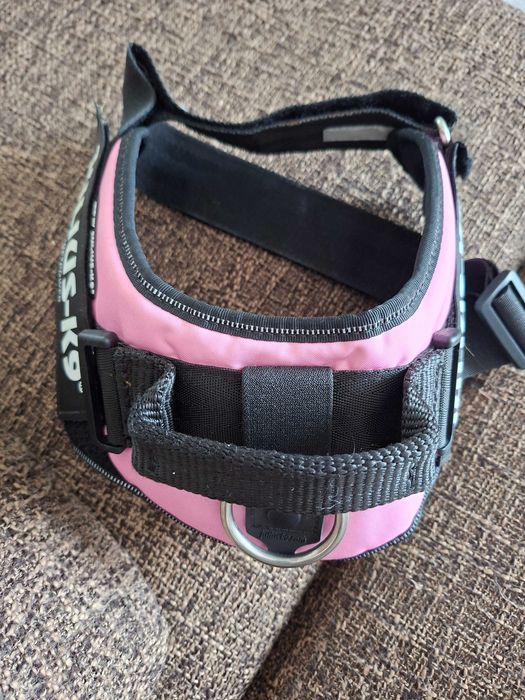 Peitoral para cao grande  novo