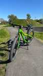 Scott Roxter 24 Zielony