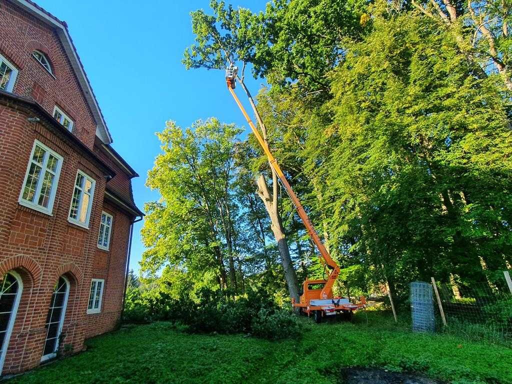 Profesjonalna WYCINKA DRZEW frezowanie pni podnośnik koszowy 22m