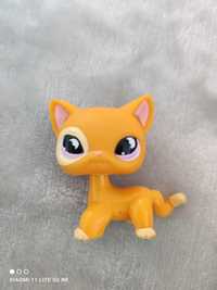 Kotek szortHair littlest pet Shop