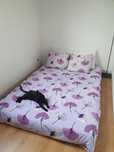 Capa edredon casal + 2 fronhas IKEA