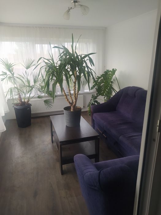 Оренда будинку, Велика Калинка