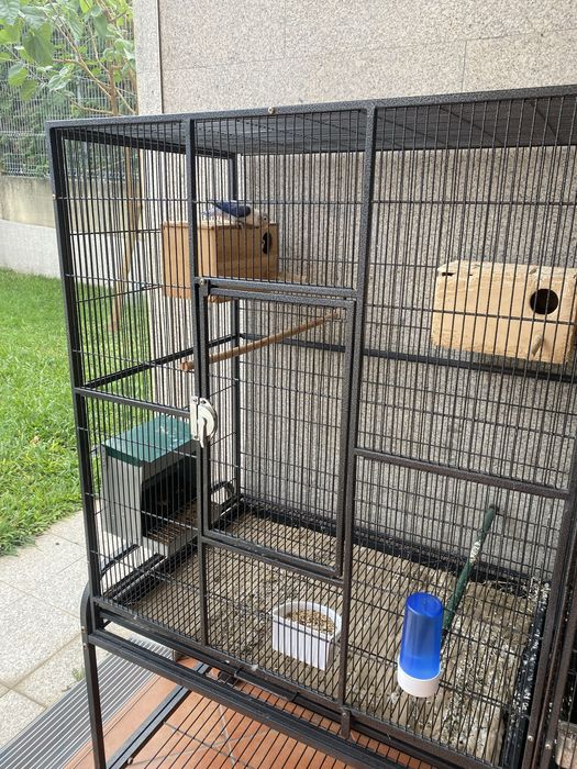 Viveiro para aves exóticas