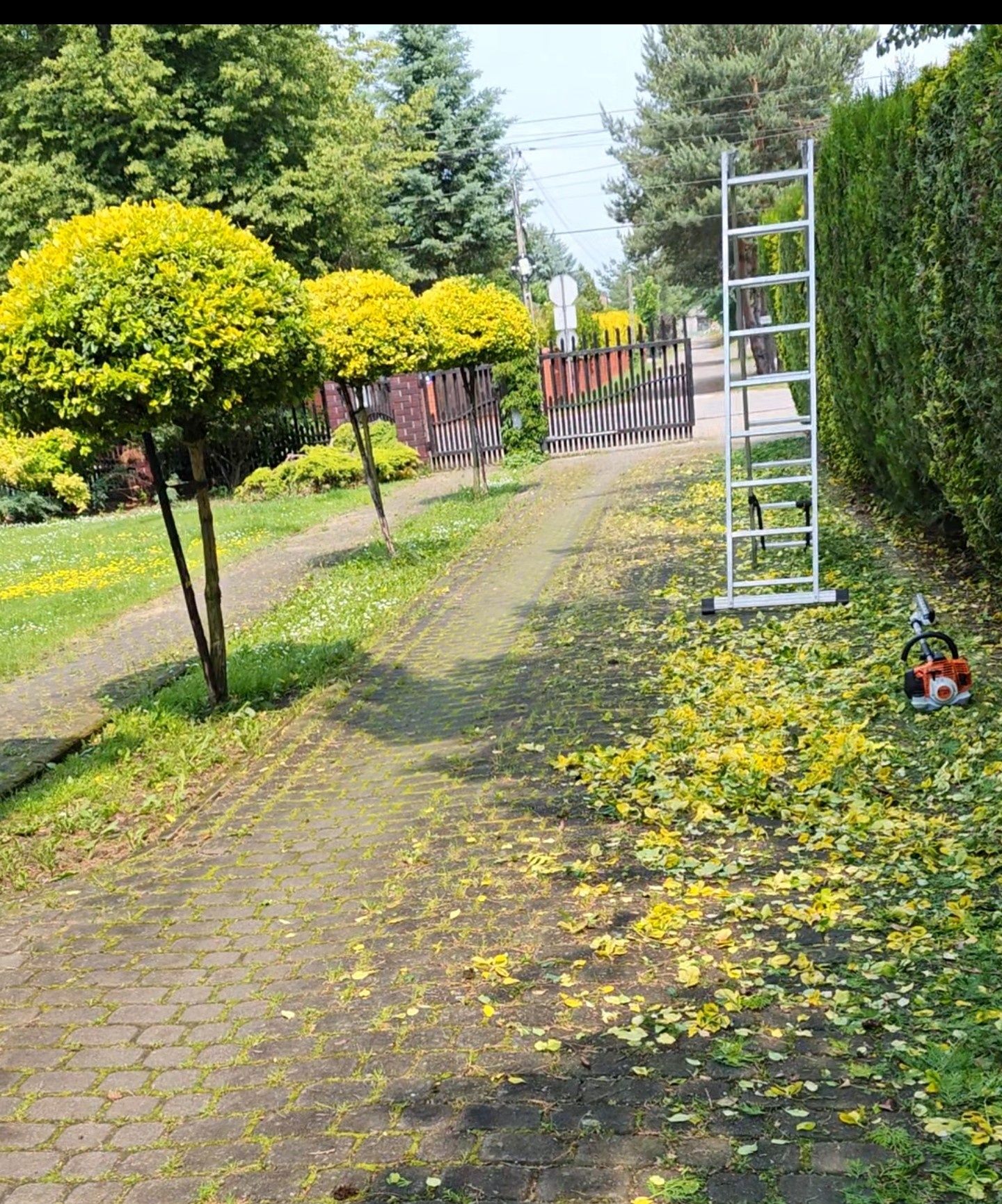 Koszenie trawy,  mielenie gałęzi