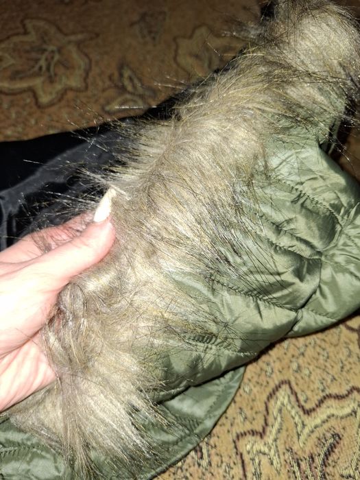 Курточка- одежда для собак