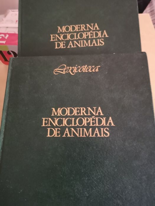 Incicolpedia Nova nunca foi desfiada