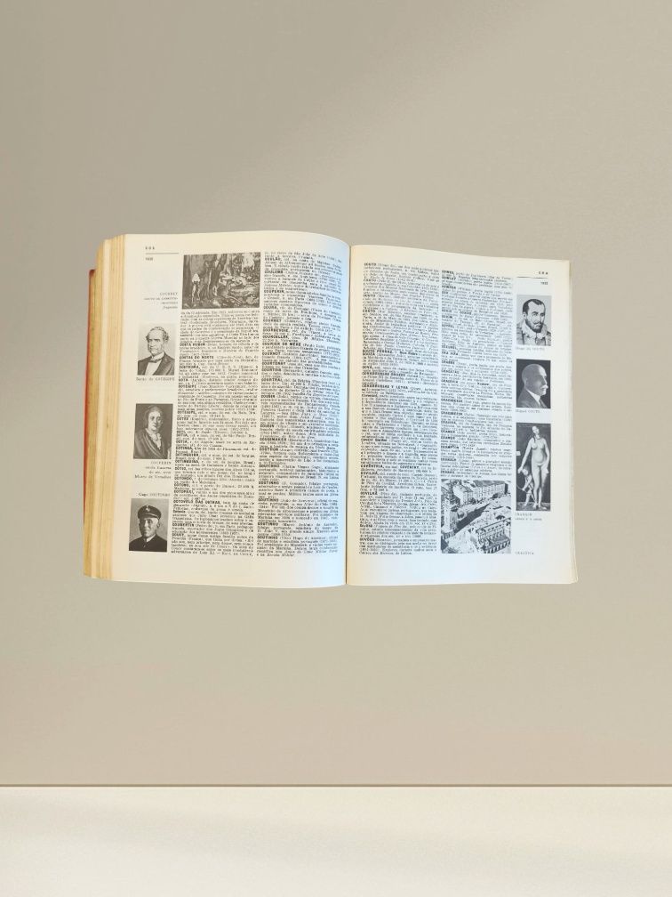 Dicionário Prático Ilustrado