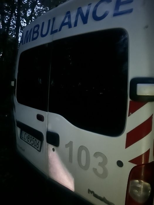 Рено мастер 2.5 дизель