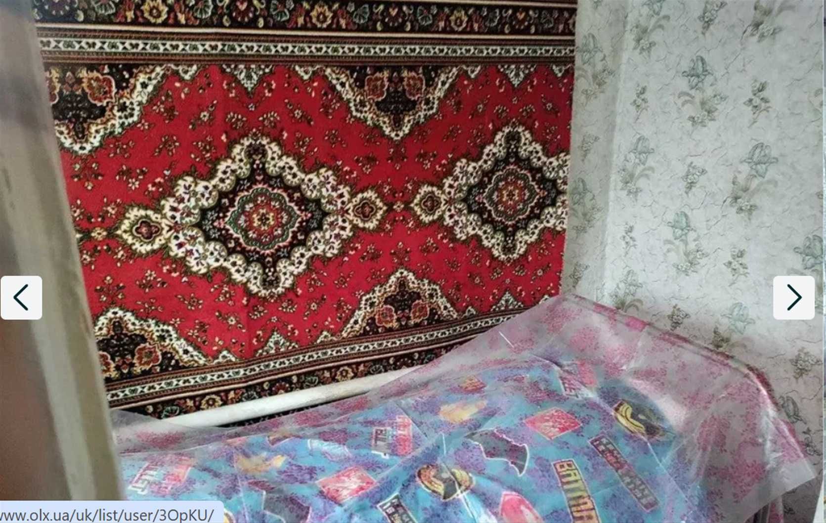 Продам дом в Борках. Отличная цена .Участок 17 сот. 2 вида отопленияTB